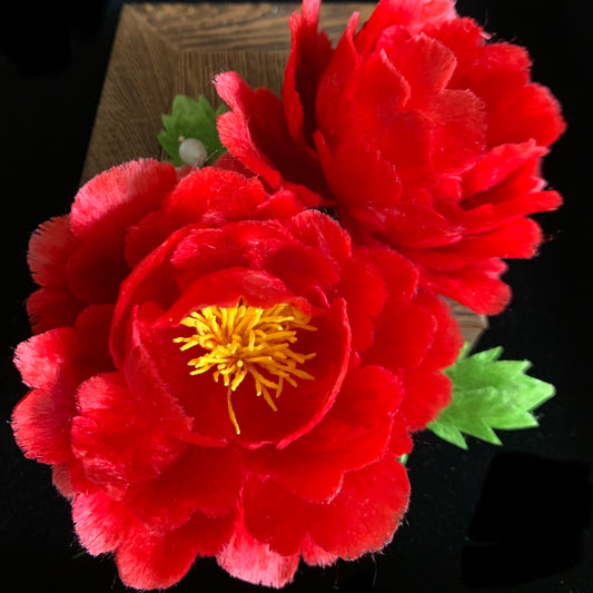 Peony Wrist corsages for your wedding or  Graduation Ball